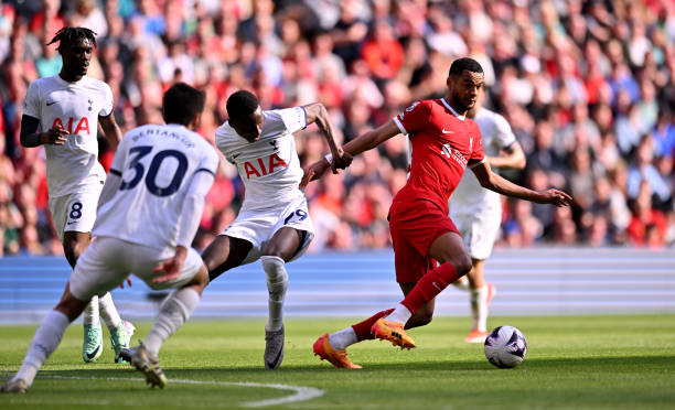 还是巧妙多 还是巧妙多