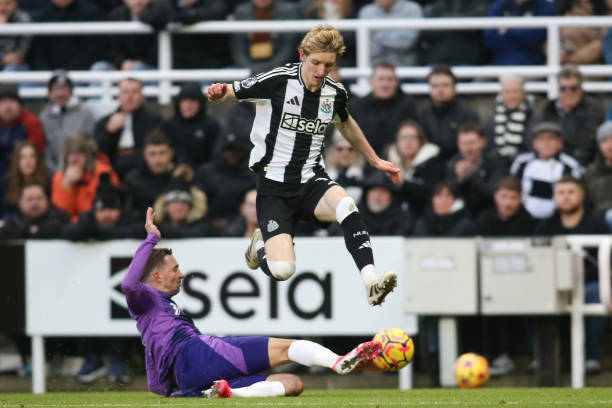 納的回歸中 納的回歸中